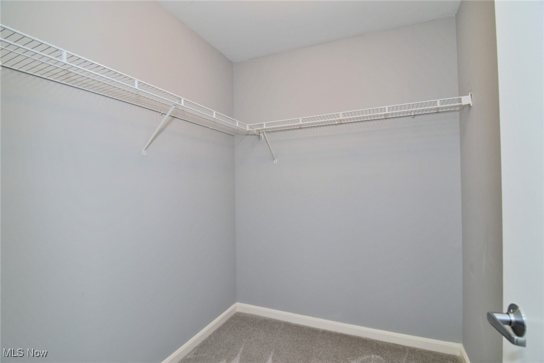 3215 Euclid Heights Boulevard Cleveland Heights OH 44118