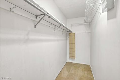 2823 Pease Drive Rocky River OH 44116