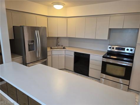 2202 Acacia Park Drive Lyndhurst OH 44124