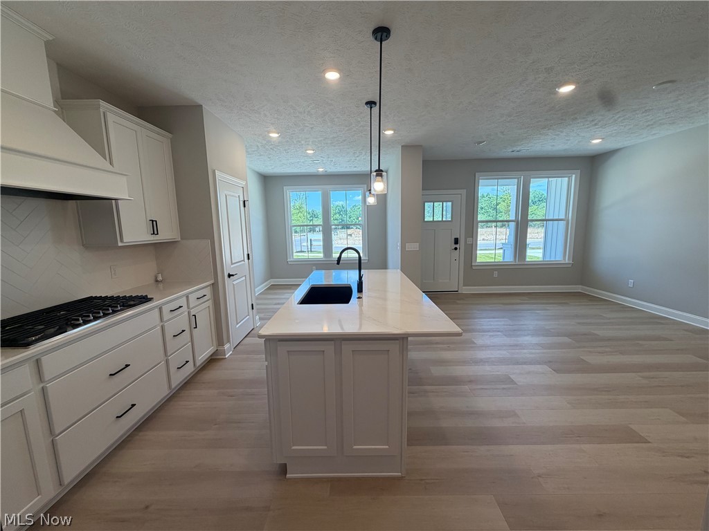 16 Paige Lane Hudson OH 44236