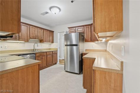 2885 Pease Drive Rocky River OH 44116