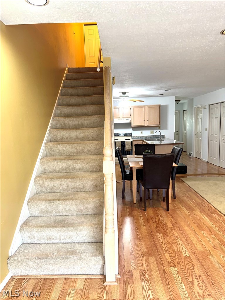 3652 Mercedes Place Canfield OH 44406
