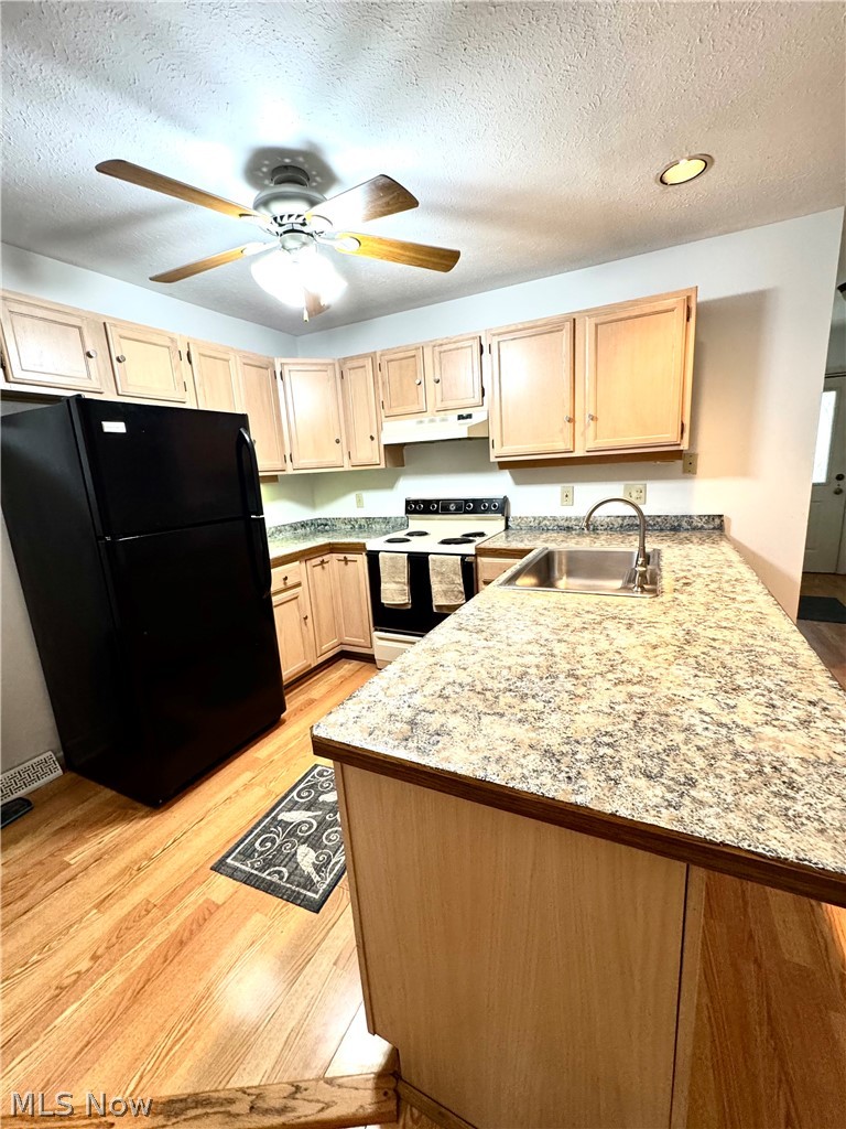 3652 Mercedes Place Canfield OH 44406