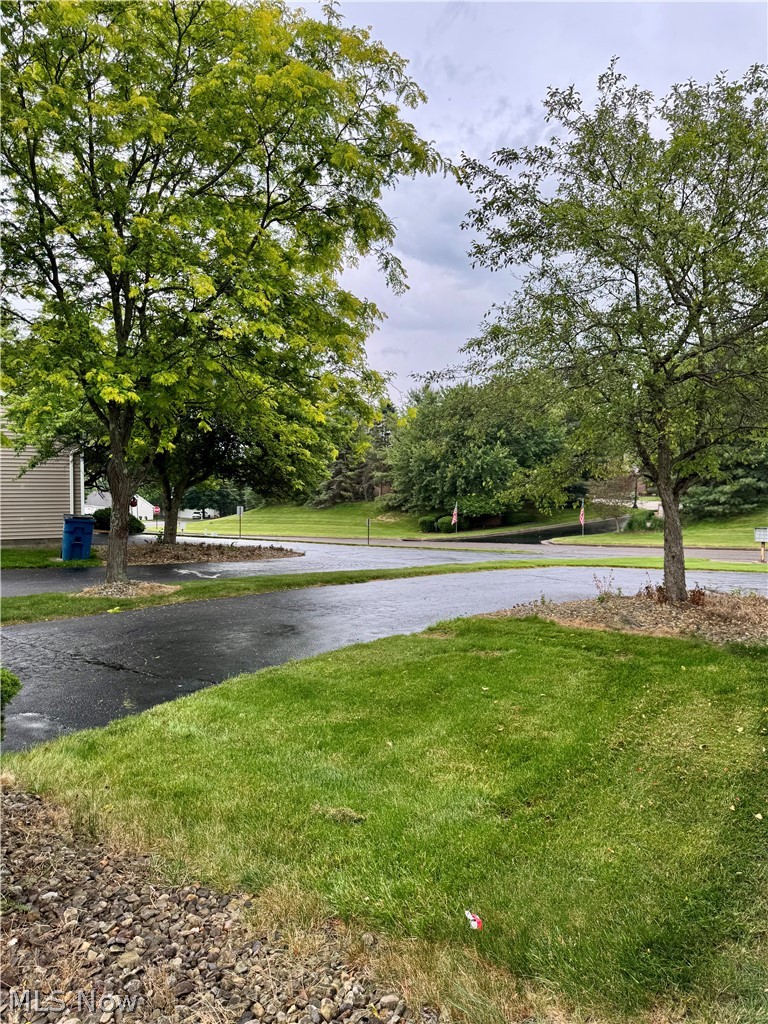 3652 Mercedes Place Canfield OH 44406
