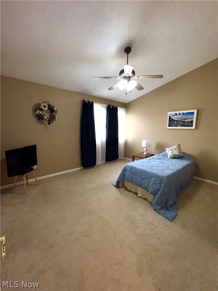 3652 Mercedes Place Canfield OH 44406