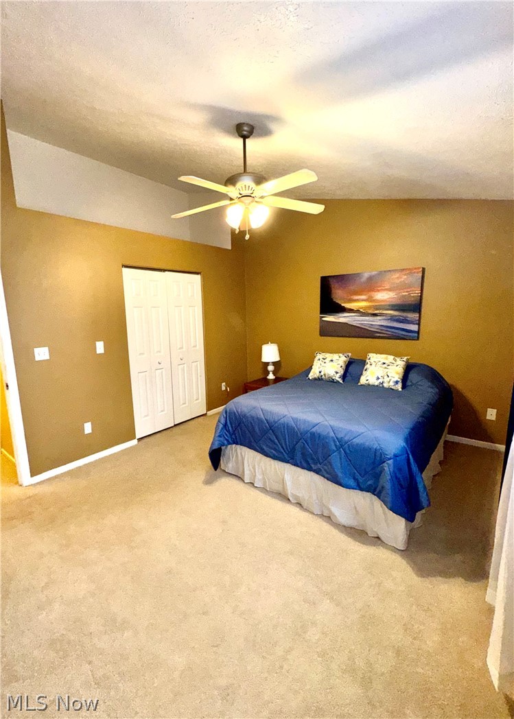 3652 Mercedes Place Canfield OH 44406