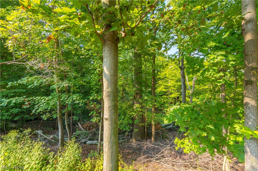 18 Hidden Valley Rocky River OH 44116