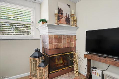 3671 Windjammer Cove Aurora OH 44202