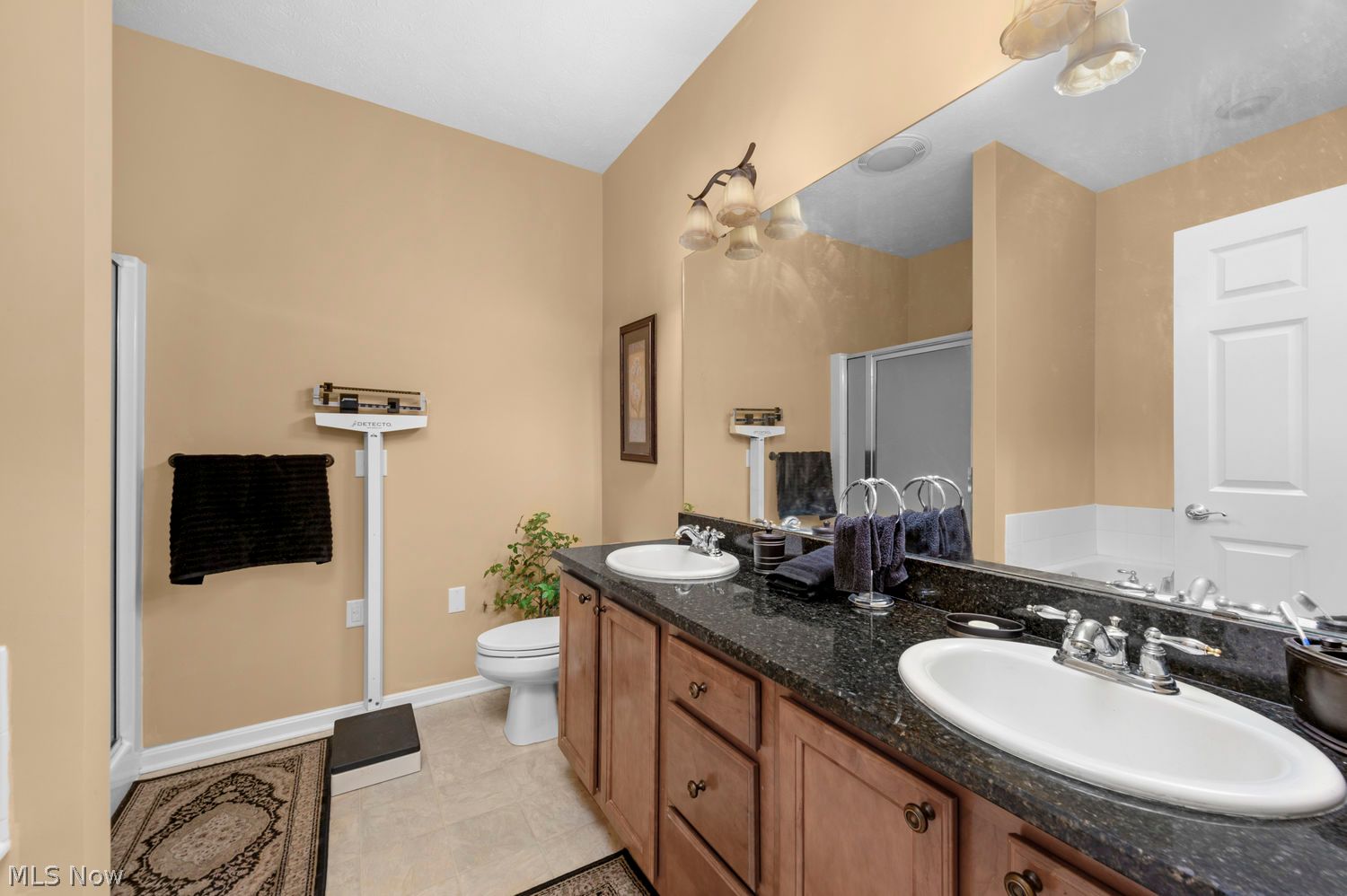 514 Vintage Point Avon Lake OH 44012
