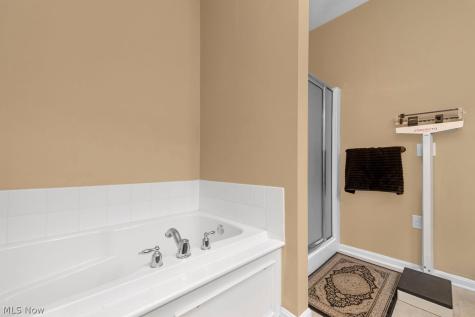 514 Vintage Point Avon Lake OH 44012