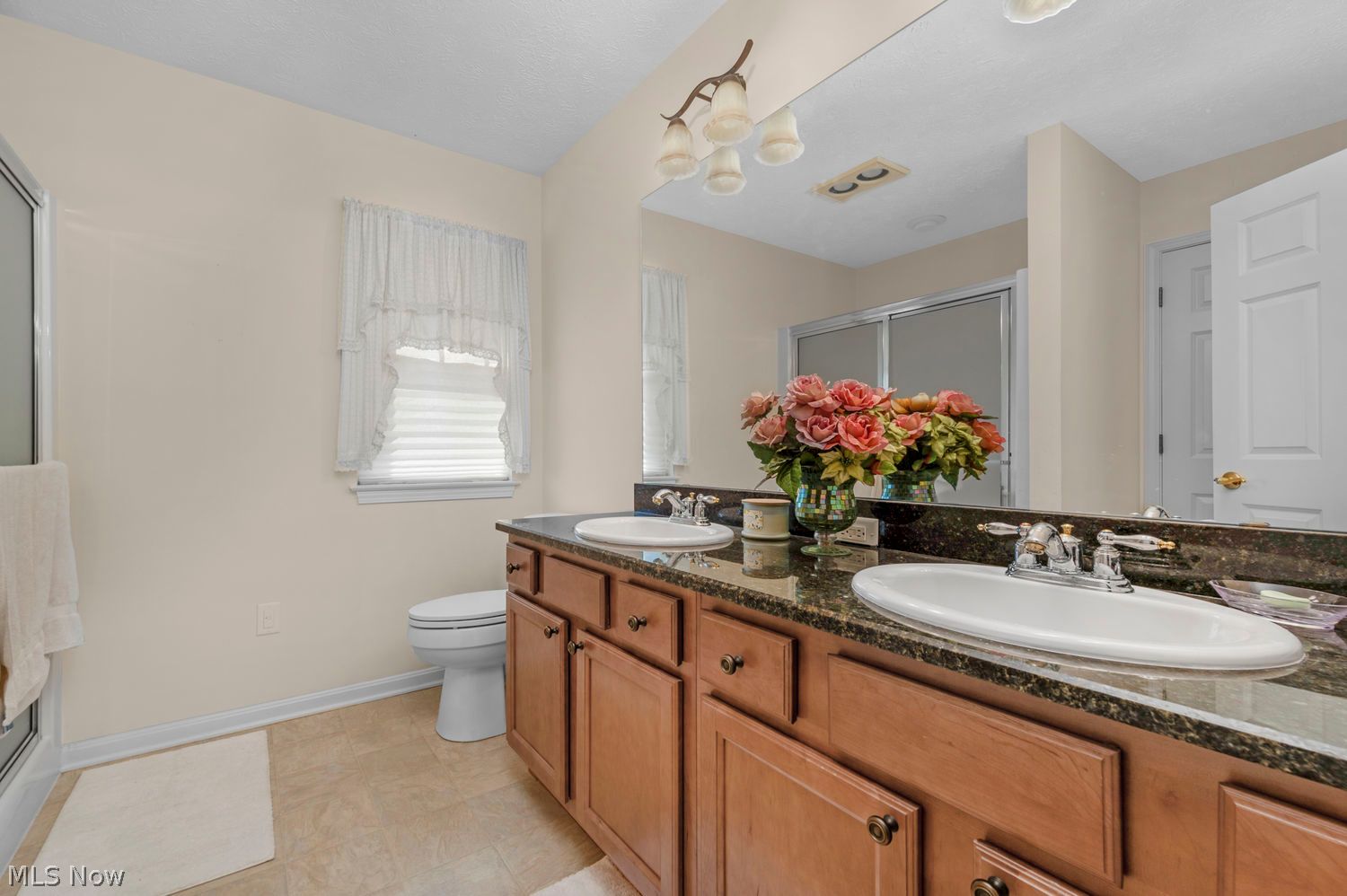 514 Vintage Point Avon Lake OH 44012