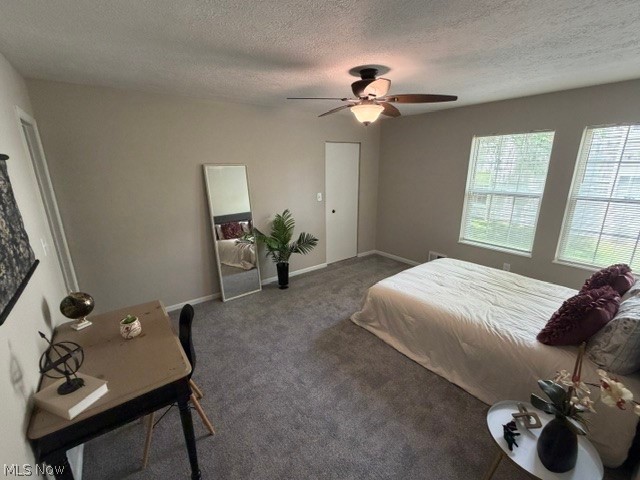 6745 Tippecanoe Road Canfield OH 44406