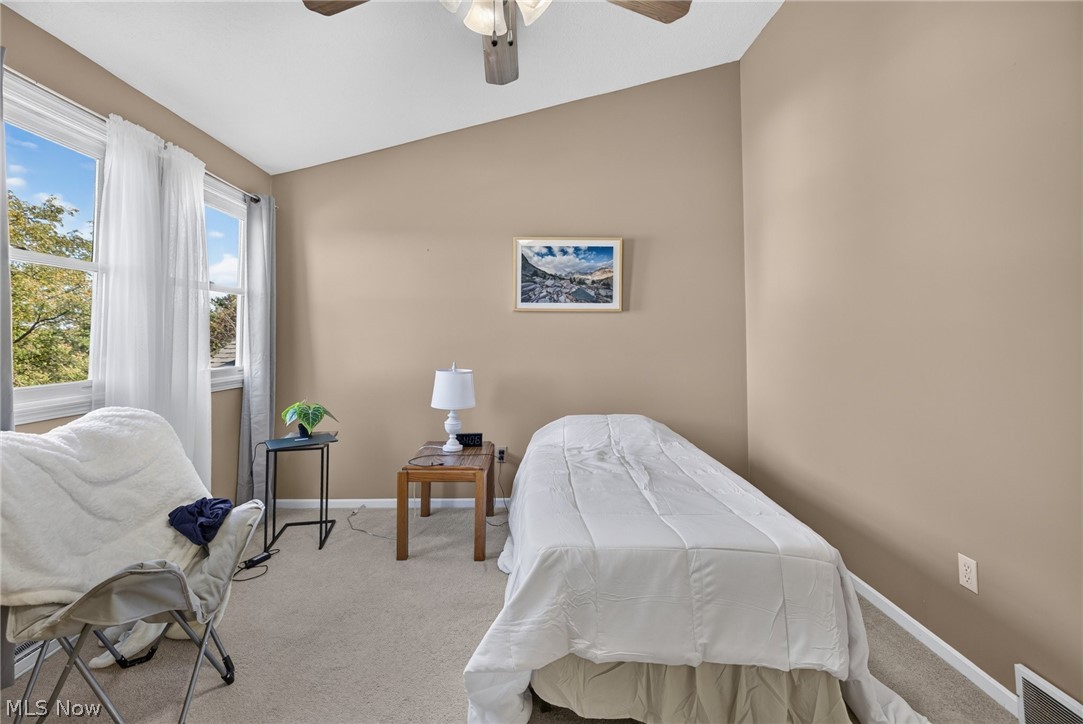 3652 Mercedes Place Canfield OH 44406