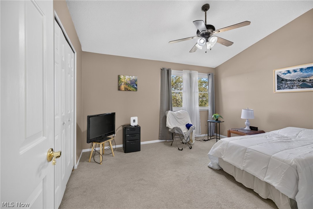 3652 Mercedes Place Canfield OH 44406