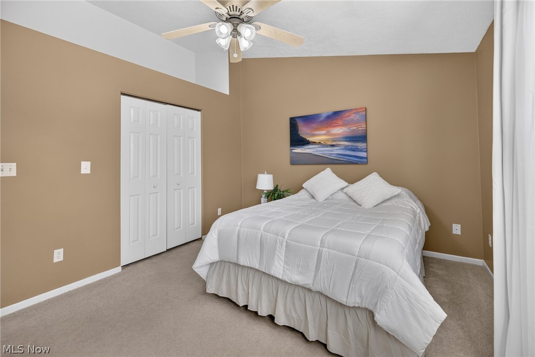 3652 Mercedes Place Canfield OH 44406