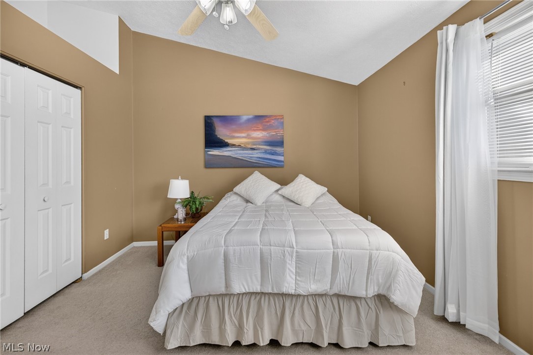 3652 Mercedes Place Canfield OH 44406