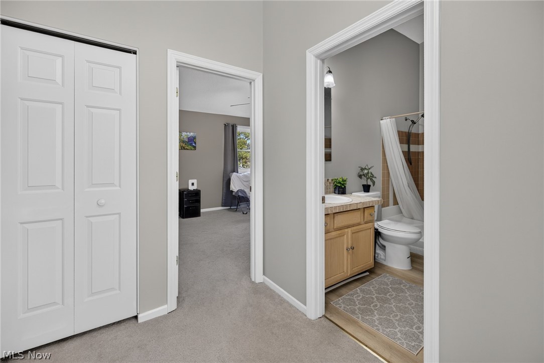 3652 Mercedes Place Canfield OH 44406