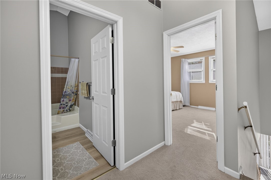 3652 Mercedes Place Canfield OH 44406