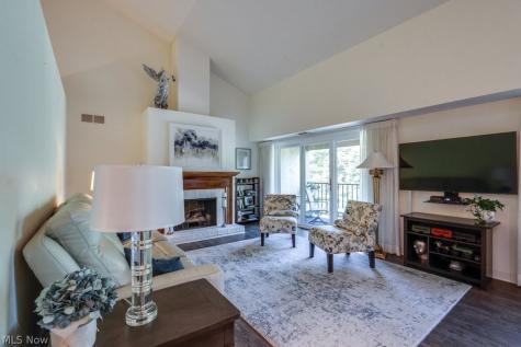 171 Court Drive Fairlawn OH 44333