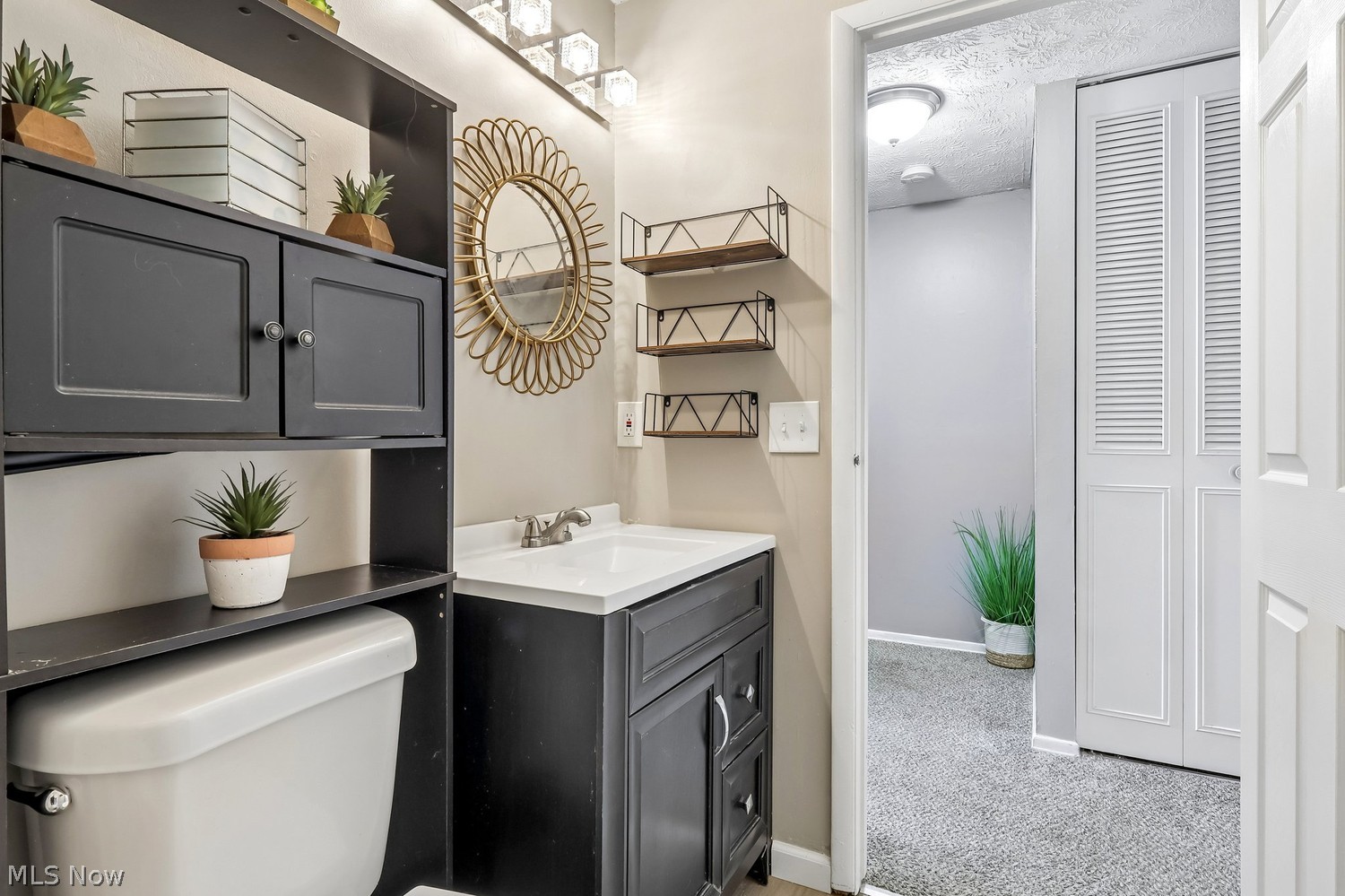 7430 Duke Court Mentor OH 44060