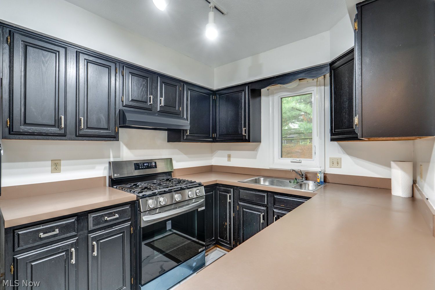16564 Lake Circle Drive Strongsville OH 44136