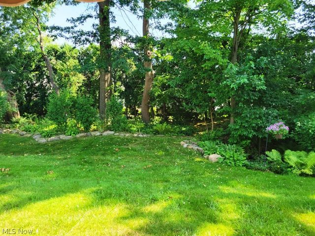 16701 Orchard Grove Drive Middleburg Heights OH 44130