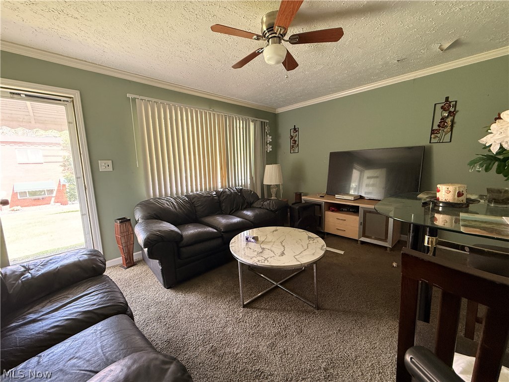 215 Dalepark Drive Bedford OH 44146