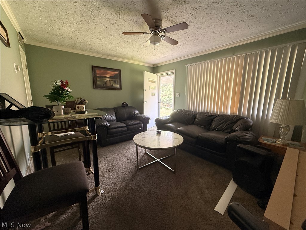 215 Dalepark Drive Bedford OH 44146