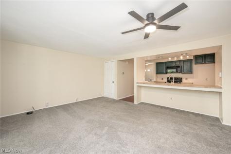3965 Lake Run Boulevard Stow OH 44224
