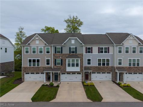 1423 Chateau Place Avon OH 44011