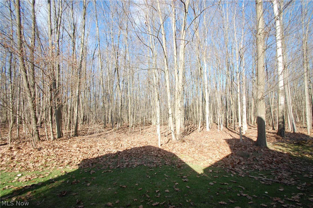 7863 Walnut Street Boardman OH 44512