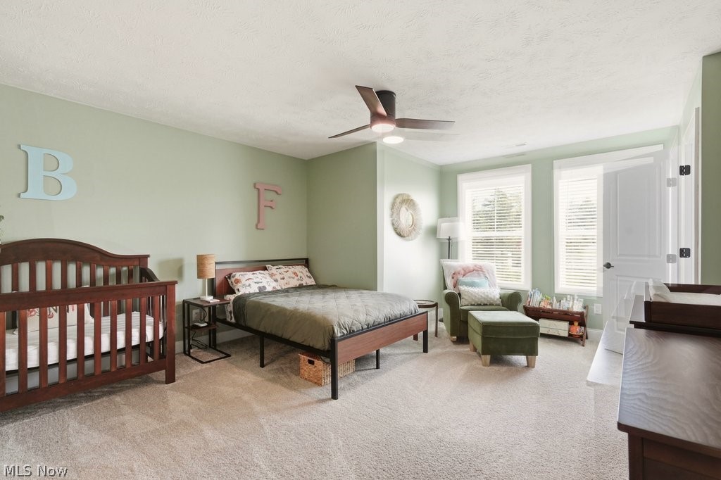 114 Lake Balaton Drive Orange OH 44128