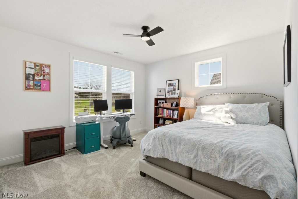 114 Lake Balaton Drive Orange OH 44128