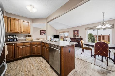988 Tradewinds Cove Painesville OH 44077