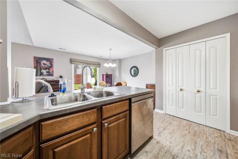 988 Tradewinds Cove Painesville OH 44077