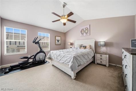 988 Tradewinds Cove Painesville OH 44077