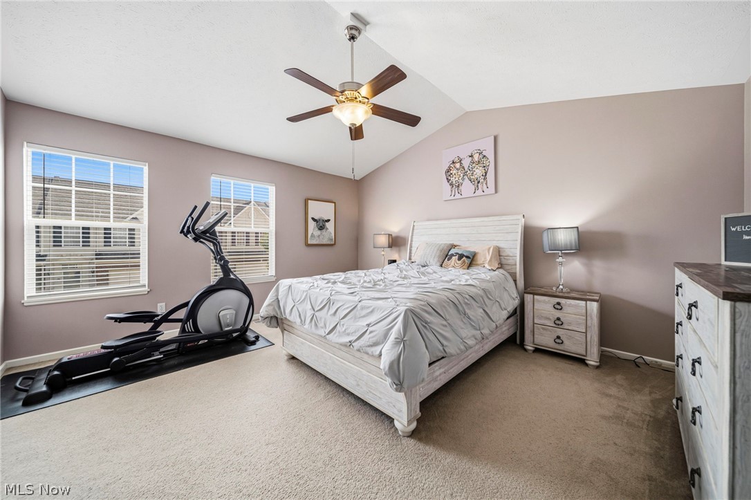 988 Tradewinds Cove Painesville OH 44077