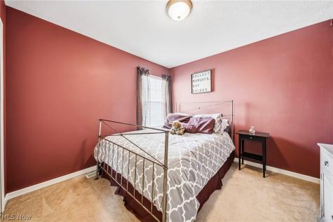 988 Tradewinds Cove Painesville OH 44077