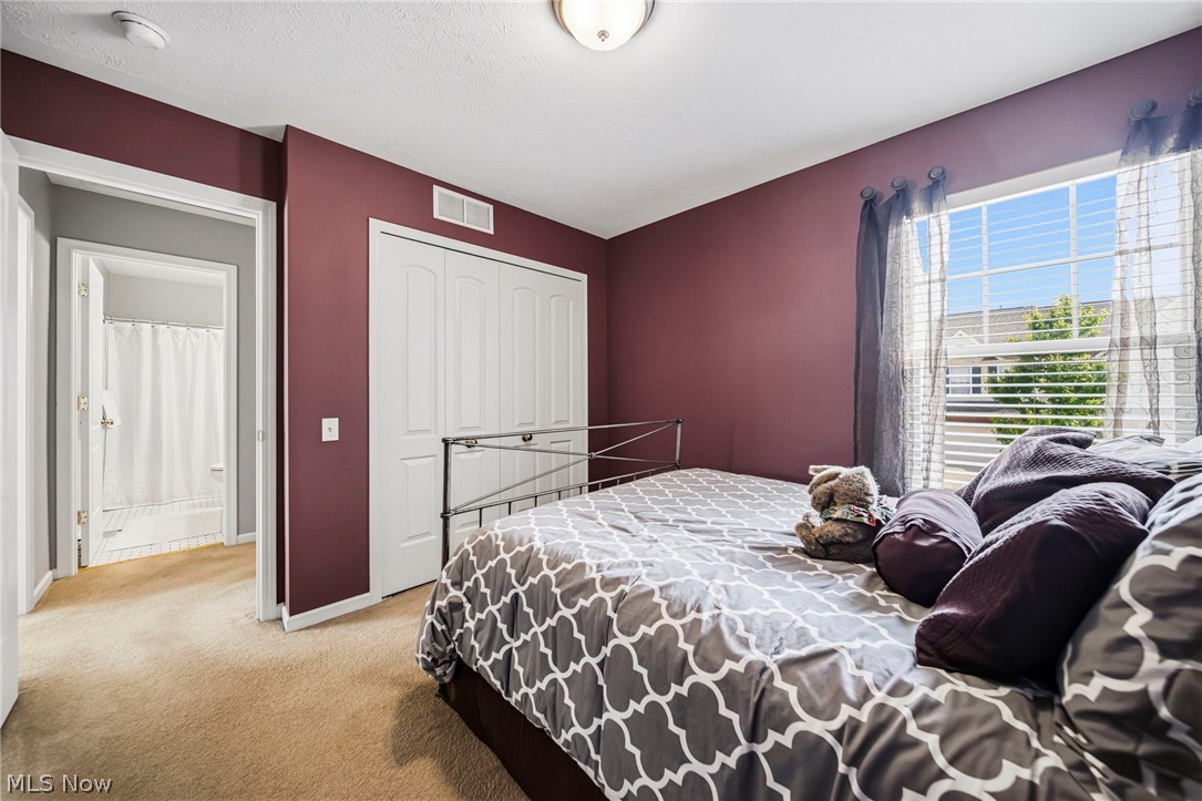 988 Tradewinds Cove Painesville OH 44077