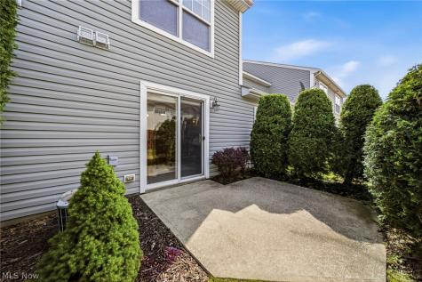 988 Tradewinds Cove Painesville OH 44077
