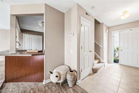 988 Tradewinds Cove Painesville OH 44077