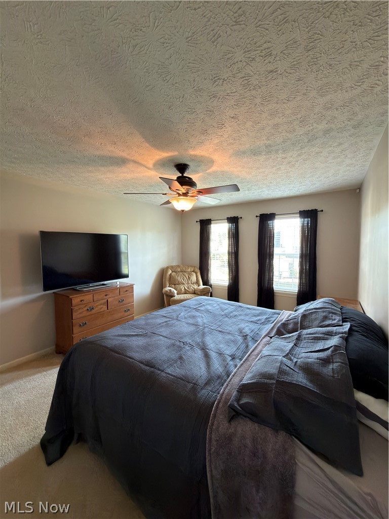 765 Wildberry Circle Avon Lake OH 44012