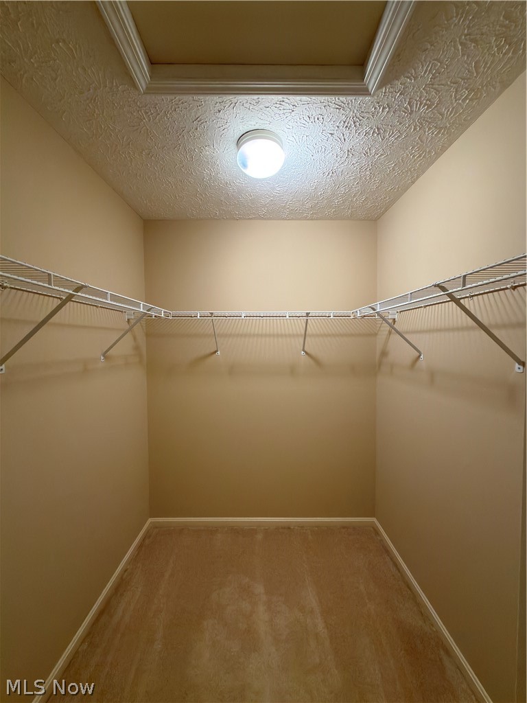 765 Wildberry Circle Avon Lake OH 44012