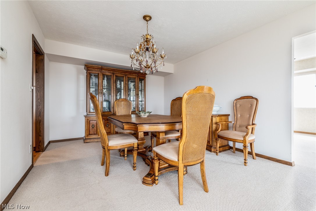 2202 Acacia Park Drive Lyndhurst OH 44124