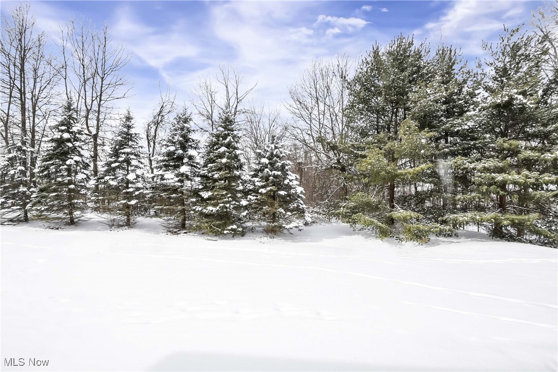 7168 Lilac Court North Olmsted OH 44070