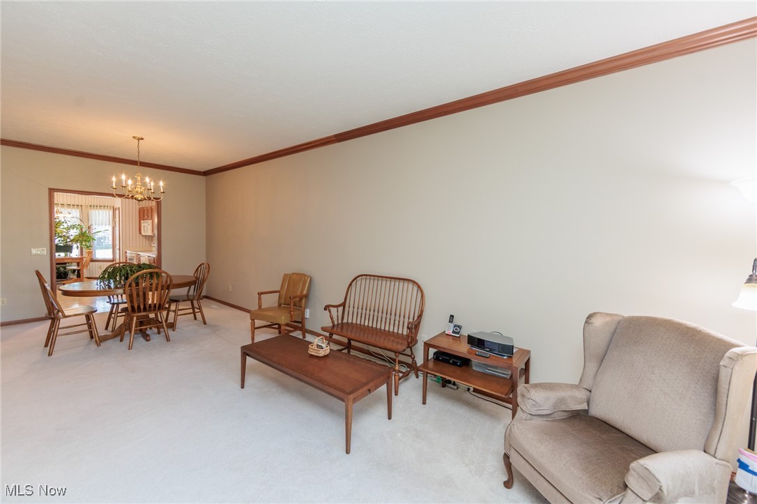 223 Village Drive W Seven Hills OH 44131