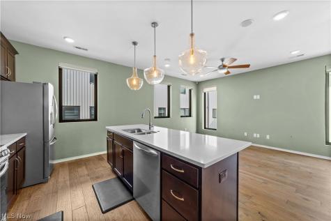 2334 W 16th Place Cleveland OH 44113