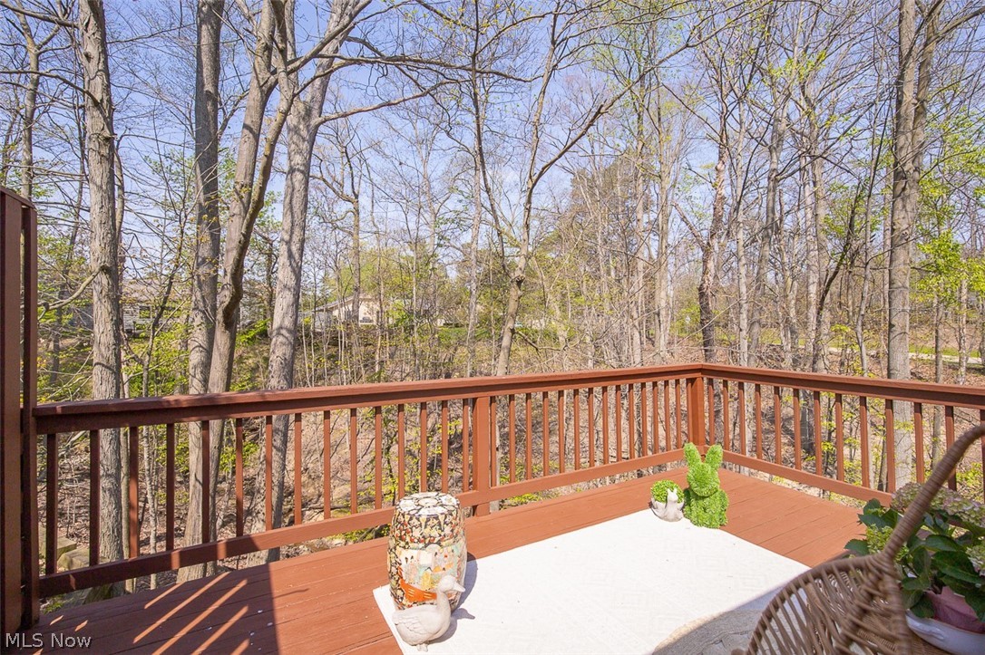 18175 Trailside Place Strongsville OH 44136