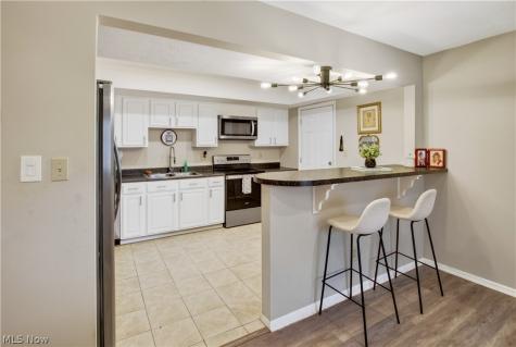 11746 Harbour Light Drive North Royalton OH 44133