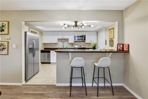 11746 Harbour Light Drive North Royalton OH 44133